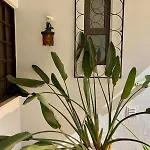 Escape With Private Pool Feriehus Vilamoura
